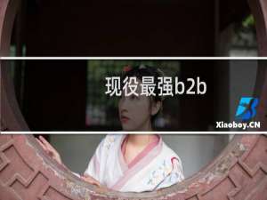 现役最强b2b