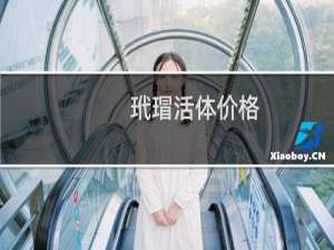 玳瑁活体价格