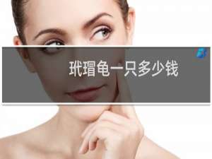 玳瑁龟一只多少钱
