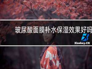 玻尿酸面膜补水保湿效果好吗