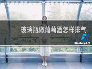 玻璃瓶做葡萄酒怎样排气