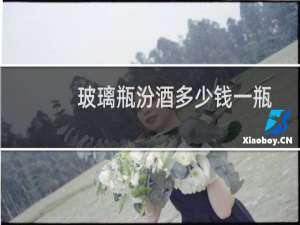 玻璃瓶汾酒多少钱一瓶