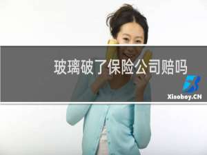 玻璃破了保险公司赔吗