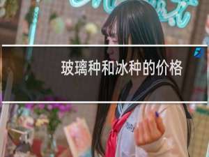 玻璃种和冰种的价格