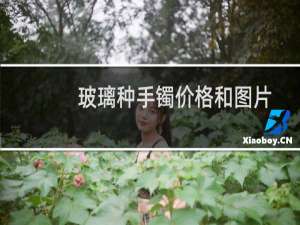 玻璃种手镯价格和图片