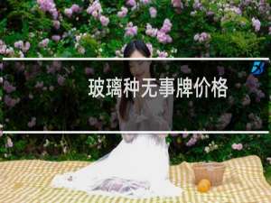 玻璃种无事牌价格