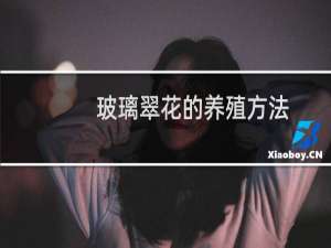 玻璃翠花的养殖方法