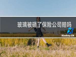 玻璃被砸了保险公司赔吗