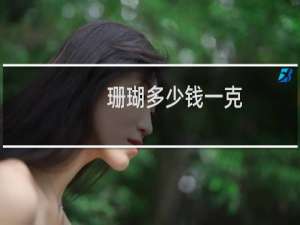 珊瑚多少钱一克