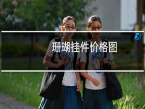 珊瑚挂件价格图