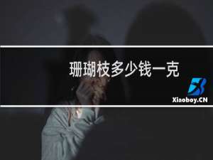 珊瑚枝多少钱一克