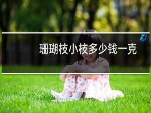 珊瑚枝小枝多少钱一克