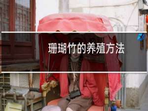 珊瑚竹的养殖方法