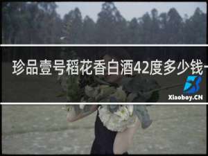珍品壹号稻花香白酒42度多少钱一瓶