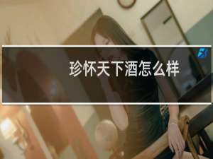 珍怀天下酒怎么样