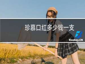 珍慕口红多少钱一支