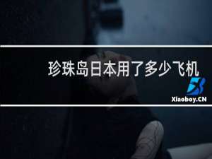 珍珠岛日本用了多少飞机