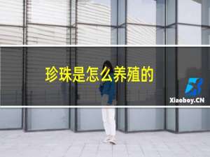 珍珠是怎么养殖的