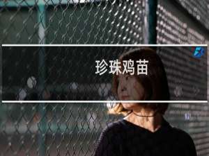 珍珠鸡苗（珍珠鸡）