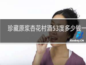 珍藏原浆杏花村酒53度多少钱一瓶