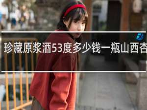 珍藏原浆酒53度多少钱一瓶山西杏花村