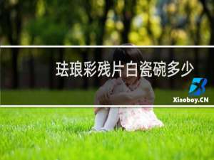 珐琅彩残片白瓷碗多少