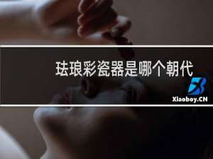 珐琅彩瓷器是哪个朝代