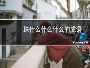珠什么什么什么的成语