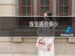 珠宝进价多少