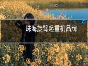 珠海旋臂起重机品牌