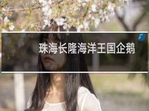 珠海长隆海洋王国企鹅