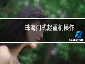 珠海门式起重机操作