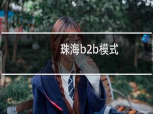 珠海b2b模式