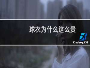 球衣为什么这么贵