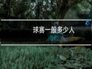 球赛一般多少人
