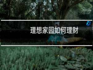 理想家园如何理财
