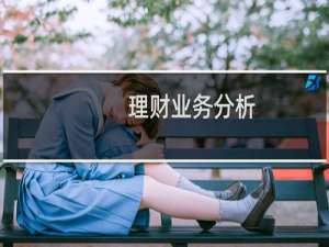 理财业务分析