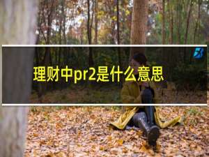 理财中pr2是什么意思