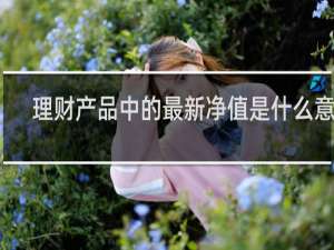 理财产品中的最新净值是什么意思