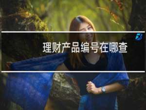 理财产品编号在哪查