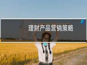 理财产品营销策略