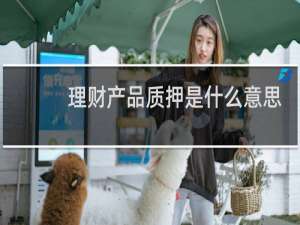 理财产品质押是什么意思