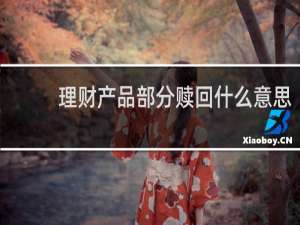 理财产品部分赎回什么意思