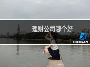 理财公司哪个好
