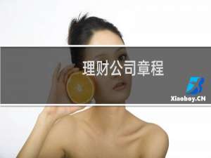 理财公司章程