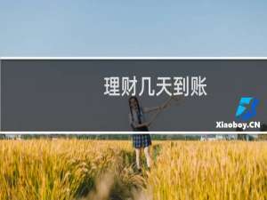 理财几天到账