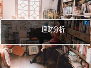 理财分析