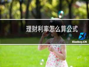 理财利率怎么算公式
