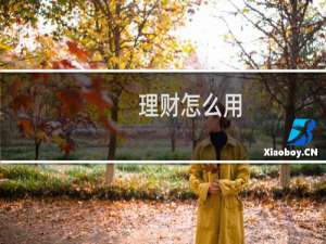 理财怎么用