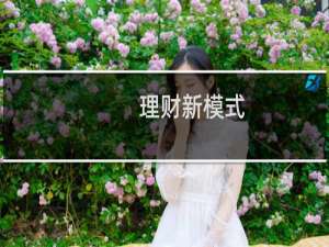 理财新模式